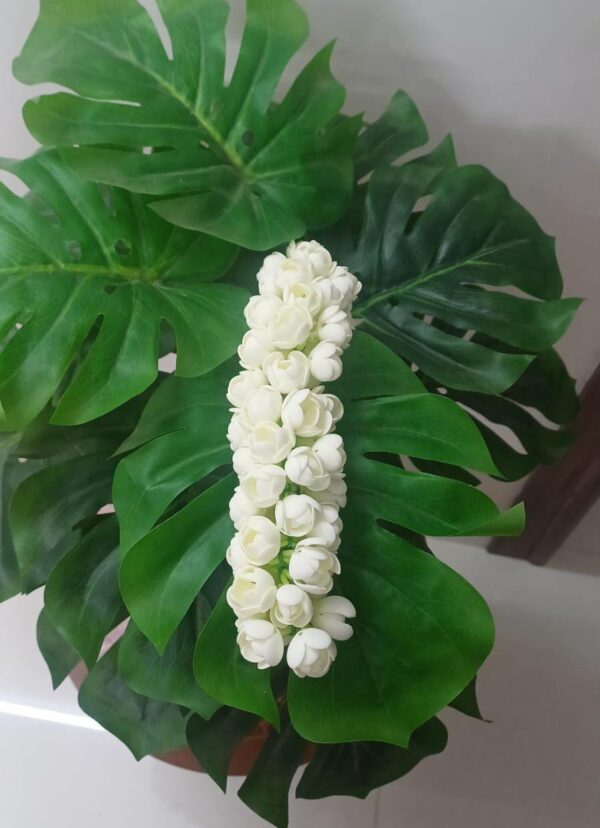 JASMINE BUDS